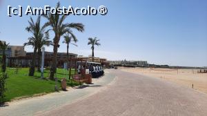 [P42] drumul spre Sahl Hasheesh » foto by artemisa24
 - 
<span class="allrVoted glyphicon glyphicon-heart hidden" id="av1542459"></span>
<a class="m-l-10 hidden" id="sv1542459" onclick="voting_Foto_DelVot(,1542459,12724)" role="button">șterge vot <span class="glyphicon glyphicon-remove"></span></a>
<a id="v91542459" class=" c-red"  onclick="voting_Foto_SetVot(1542459)" role="button"><span class="glyphicon glyphicon-heart-empty"></span> <b>LIKE</b> = Votează poza</a> <img class="hidden"  id="f1542459W9" src="/imagini/loader.gif" border="0" /><span class="AjErrMes hidden" id="e1542459ErM"></span>