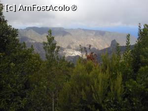 [P33] La Gomera - În Parque Nacional Garajonay. » foto by iulianic
 - 
<span class="allrVoted glyphicon glyphicon-heart hidden" id="av1437742"></span>
<a class="m-l-10 hidden" id="sv1437742" onclick="voting_Foto_DelVot(,1437742,12735)" role="button">șterge vot <span class="glyphicon glyphicon-remove"></span></a>
<a id="v91437742" class=" c-red"  onclick="voting_Foto_SetVot(1437742)" role="button"><span class="glyphicon glyphicon-heart-empty"></span> <b>LIKE</b> = Votează poza</a> <img class="hidden"  id="f1437742W9" src="/imagini/loader.gif" border="0" /><span class="AjErrMes hidden" id="e1437742ErM"></span>