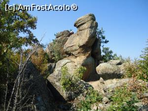 [P06] aceasta este Piatra Barbatului » foto by buterfly*
 - 
<span class="allrVoted glyphicon glyphicon-heart hidden" id="av856902"></span>
<a class="m-l-10 hidden" id="sv856902" onclick="voting_Foto_DelVot(,856902,12753)" role="button">șterge vot <span class="glyphicon glyphicon-remove"></span></a>
<a id="v9856902" class=" c-red"  onclick="voting_Foto_SetVot(856902)" role="button"><span class="glyphicon glyphicon-heart-empty"></span> <b>LIKE</b> = Votează poza</a> <img class="hidden"  id="f856902W9" src="/imagini/loader.gif" border="0" /><span class="AjErrMes hidden" id="e856902ErM"></span>