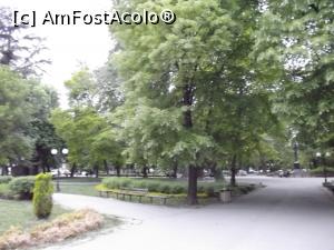 [P40] Tei în oraşul teilor » foto by irinad
 - 
<span class="allrVoted glyphicon glyphicon-heart hidden" id="av856554"></span>
<a class="m-l-10 hidden" id="sv856554" onclick="voting_Foto_DelVot(,856554,12753)" role="button">șterge vot <span class="glyphicon glyphicon-remove"></span></a>
<a id="v9856554" class=" c-red"  onclick="voting_Foto_SetVot(856554)" role="button"><span class="glyphicon glyphicon-heart-empty"></span> <b>LIKE</b> = Votează poza</a> <img class="hidden"  id="f856554W9" src="/imagini/loader.gif" border="0" /><span class="AjErrMes hidden" id="e856554ErM"></span>