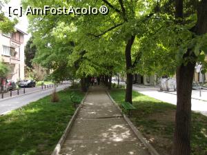 [P09] Stara Zagora, oraşul teilor » foto by irinad
 - 
<span class="allrVoted glyphicon glyphicon-heart hidden" id="av856523"></span>
<a class="m-l-10 hidden" id="sv856523" onclick="voting_Foto_DelVot(,856523,12753)" role="button">șterge vot <span class="glyphicon glyphicon-remove"></span></a>
<a id="v9856523" class=" c-red"  onclick="voting_Foto_SetVot(856523)" role="button"><span class="glyphicon glyphicon-heart-empty"></span> <b>LIKE</b> = Votează poza</a> <img class="hidden"  id="f856523W9" src="/imagini/loader.gif" border="0" /><span class="AjErrMes hidden" id="e856523ErM"></span>