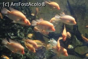 [P12]  -- <small>// FĂRĂ DESCRIERE</small> » foto by mont
 - 
<span class="allrVoted glyphicon glyphicon-heart hidden" id="av1511760"></span>
<a class="m-l-10 hidden" id="sv1511760" onclick="voting_Foto_DelVot(,1511760,12774)" role="button">șterge vot <span class="glyphicon glyphicon-remove"></span></a>
<a id="v91511760" class=" c-red"  onclick="voting_Foto_SetVot(1511760)" role="button"><span class="glyphicon glyphicon-heart-empty"></span> <b>LIKE</b> = Votează poza</a> <img class="hidden"  id="f1511760W9" src="/imagini/loader.gif" border="0" /><span class="AjErrMes hidden" id="e1511760ErM"></span>