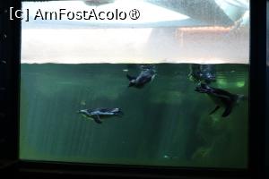 [P21]  -- <small>// FĂRĂ DESCRIERE</small> » foto by mont
 - 
<span class="allrVoted glyphicon glyphicon-heart hidden" id="av1511769"></span>
<a class="m-l-10 hidden" id="sv1511769" onclick="voting_Foto_DelVot(,1511769,12774)" role="button">șterge vot <span class="glyphicon glyphicon-remove"></span></a>
<a id="v91511769" class=" c-red"  onclick="voting_Foto_SetVot(1511769)" role="button"><span class="glyphicon glyphicon-heart-empty"></span> <b>LIKE</b> = Votează poza</a> <img class="hidden"  id="f1511769W9" src="/imagini/loader.gif" border="0" /><span class="AjErrMes hidden" id="e1511769ErM"></span>