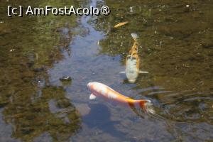 [P31]  -- <small>// FĂRĂ DESCRIERE</small> » foto by mont
 - 
<span class="allrVoted glyphicon glyphicon-heart hidden" id="av1511779"></span>
<a class="m-l-10 hidden" id="sv1511779" onclick="voting_Foto_DelVot(,1511779,12774)" role="button">șterge vot <span class="glyphicon glyphicon-remove"></span></a>
<a id="v91511779" class=" c-red"  onclick="voting_Foto_SetVot(1511779)" role="button"><span class="glyphicon glyphicon-heart-empty"></span> <b>LIKE</b> = Votează poza</a> <img class="hidden"  id="f1511779W9" src="/imagini/loader.gif" border="0" /><span class="AjErrMes hidden" id="e1511779ErM"></span>