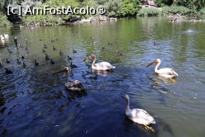 [P36]  -- <small>// FĂRĂ DESCRIERE</small> » foto by mont
 - 
<span class="allrVoted glyphicon glyphicon-heart hidden" id="av1511784"></span>
<a class="m-l-10 hidden" id="sv1511784" onclick="voting_Foto_DelVot(,1511784,12774)" role="button">șterge vot <span class="glyphicon glyphicon-remove"></span></a>
<a id="v91511784" class=" c-red"  onclick="voting_Foto_SetVot(1511784)" role="button"><span class="glyphicon glyphicon-heart-empty"></span> <b>LIKE</b> = Votează poza</a> <img class="hidden"  id="f1511784W9" src="/imagini/loader.gif" border="0" /><span class="AjErrMes hidden" id="e1511784ErM"></span>