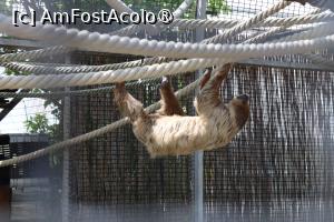 [P06] Leneșul! » foto by mont
 - 
<span class="allrVoted glyphicon glyphicon-heart hidden" id="av1511754"></span>
<a class="m-l-10 hidden" id="sv1511754" onclick="voting_Foto_DelVot(,1511754,12774)" role="button">șterge vot <span class="glyphicon glyphicon-remove"></span></a>
<a id="v91511754" class=" c-red"  onclick="voting_Foto_SetVot(1511754)" role="button"><span class="glyphicon glyphicon-heart-empty"></span> <b>LIKE</b> = Votează poza</a> <img class="hidden"  id="f1511754W9" src="/imagini/loader.gif" border="0" /><span class="AjErrMes hidden" id="e1511754ErM"></span>