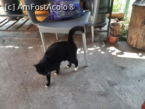 [P24] Pensiunea Poiana cu Cetate » foto by adso
 - 
<span class="allrVoted glyphicon glyphicon-heart hidden" id="av1487775"></span>
<a class="m-l-10 hidden" id="sv1487775" onclick="voting_Foto_DelVot(,1487775,12895)" role="button">șterge vot <span class="glyphicon glyphicon-remove"></span></a>
<a id="v91487775" class=" c-red"  onclick="voting_Foto_SetVot(1487775)" role="button"><span class="glyphicon glyphicon-heart-empty"></span> <b>LIKE</b> = Votează poza</a> <img class="hidden"  id="f1487775W9" src="/imagini/loader.gif" border="0" /><span class="AjErrMes hidden" id="e1487775ErM"></span>