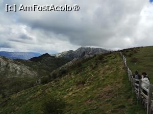 [P29] Parque Nacional Picos de Europa » foto by Marius 72
 - 
<span class="allrVoted glyphicon glyphicon-heart hidden" id="av1427585"></span>
<a class="m-l-10 hidden" id="sv1427585" onclick="voting_Foto_DelVot(,1427585,13148)" role="button">șterge vot <span class="glyphicon glyphicon-remove"></span></a>
<a id="v91427585" class=" c-red"  onclick="voting_Foto_SetVot(1427585)" role="button"><span class="glyphicon glyphicon-heart-empty"></span> <b>LIKE</b> = Votează poza</a> <img class="hidden"  id="f1427585W9" src="/imagini/loader.gif" border="0" /><span class="AjErrMes hidden" id="e1427585ErM"></span>