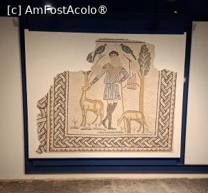 [P57] Domus dei Tapetti di Pietra - mozaicul Bunul păstor » foto by Carmen Ion
 - 
<span class="allrVoted glyphicon glyphicon-heart hidden" id="av1543824"></span>
<a class="m-l-10 hidden" id="sv1543824" onclick="voting_Foto_DelVot(,1543824,13338)" role="button">șterge vot <span class="glyphicon glyphicon-remove"></span></a>
<a id="v91543824" class=" c-red"  onclick="voting_Foto_SetVot(1543824)" role="button"><span class="glyphicon glyphicon-heart-empty"></span> <b>LIKE</b> = Votează poza</a> <img class="hidden"  id="f1543824W9" src="/imagini/loader.gif" border="0" /><span class="AjErrMes hidden" id="e1543824ErM"></span>