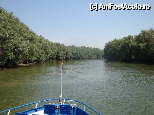 P28 [JUN-2012] Peisaj surprins în timpul croazierei în Delta Dunării, de la bordul navei ”Delta II”