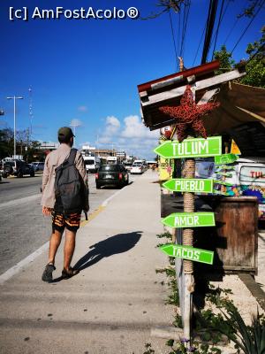 [P02] Tulum - orașul » foto by cata2106
 - 
<span class="allrVoted glyphicon glyphicon-heart hidden" id="av1226472"></span>
<a class="m-l-10 hidden" id="sv1226472" onclick="voting_Foto_DelVot(,1226472,13710)" role="button">șterge vot <span class="glyphicon glyphicon-remove"></span></a>
<a id="v91226472" class=" c-red"  onclick="voting_Foto_SetVot(1226472)" role="button"><span class="glyphicon glyphicon-heart-empty"></span> <b>LIKE</b> = Votează poza</a> <img class="hidden"  id="f1226472W9" src="/imagini/loader.gif" border="0" /><span class="AjErrMes hidden" id="e1226472ErM"></span>