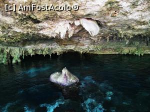 [P56] Cenotes Dos Ojos » foto by cata2106
 - 
<span class="allrVoted glyphicon glyphicon-heart hidden" id="av1226526"></span>
<a class="m-l-10 hidden" id="sv1226526" onclick="voting_Foto_DelVot(,1226526,13710)" role="button">șterge vot <span class="glyphicon glyphicon-remove"></span></a>
<a id="v91226526" class=" c-red"  onclick="voting_Foto_SetVot(1226526)" role="button"><span class="glyphicon glyphicon-heart-empty"></span> <b>LIKE</b> = Votează poza</a> <img class="hidden"  id="f1226526W9" src="/imagini/loader.gif" border="0" /><span class="AjErrMes hidden" id="e1226526ErM"></span>