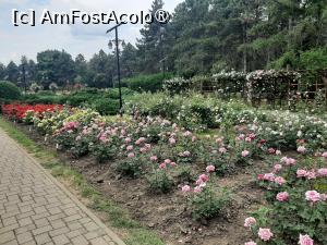 [P62] Prin Rosarium » foto by Zoazore
 - 
<span class="allrVoted glyphicon glyphicon-heart hidden" id="av1532508"></span>
<a class="m-l-10 hidden" id="sv1532508" onclick="voting_Foto_DelVot(,1532508,13735)" role="button">șterge vot <span class="glyphicon glyphicon-remove"></span></a>
<a id="v91532508" class=" c-red"  onclick="voting_Foto_SetVot(1532508)" role="button"><span class="glyphicon glyphicon-heart-empty"></span> <b>LIKE</b> = Votează poza</a> <img class="hidden"  id="f1532508W9" src="/imagini/loader.gif" border="0" /><span class="AjErrMes hidden" id="e1532508ErM"></span>