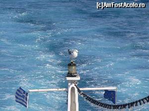 P01 [SEP-2012] 1. Limenas Thasos Grecia - Pe feribot (5) 