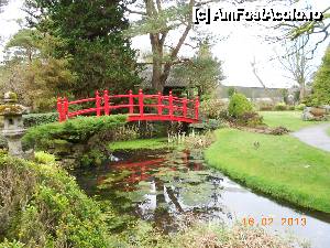 [P11] Kildare - (Irish National Stud &) Japanese Gardens, podul din bambus, care simbolizeaza cea mai mare realizare a fiecaruia, in vita sa.  » foto by Diaura*
 - 
<span class="allrVoted glyphicon glyphicon-heart hidden" id="av410172"></span>
<a class="m-l-10 hidden" id="sv410172" onclick="voting_Foto_DelVot(,410172,13851)" role="button">șterge vot <span class="glyphicon glyphicon-remove"></span></a>
<a id="v9410172" class=" c-red"  onclick="voting_Foto_SetVot(410172)" role="button"><span class="glyphicon glyphicon-heart-empty"></span> <b>LIKE</b> = Votează poza</a> <img class="hidden"  id="f410172W9" src="/imagini/loader.gif" border="0" /><span class="AjErrMes hidden" id="e410172ErM"></span>