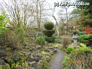 [P12] Kildare - (Irish National Stud &) Japanese Gardens - Plante de tot felul imbraca gradina » foto by Diaura*
 - 
<span class="allrVoted glyphicon glyphicon-heart hidden" id="av410173"></span>
<a class="m-l-10 hidden" id="sv410173" onclick="voting_Foto_DelVot(,410173,13851)" role="button">șterge vot <span class="glyphicon glyphicon-remove"></span></a>
<a id="v9410173" class=" c-red"  onclick="voting_Foto_SetVot(410173)" role="button"><span class="glyphicon glyphicon-heart-empty"></span> <b>LIKE</b> = Votează poza</a> <img class="hidden"  id="f410173W9" src="/imagini/loader.gif" border="0" /><span class="AjErrMes hidden" id="e410173ErM"></span>