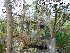 [P13] Kildare - (Irish National Stud &) Japanese Gardens, are de toate; apa curgatoare, lac, pietre, grote, stanci, plante de tot felul.  » foto by Diaura*
 - 
<span class="allrVoted glyphicon glyphicon-heart hidden" id="av410174"></span>
<a class="m-l-10 hidden" id="sv410174" onclick="voting_Foto_DelVot(,410174,13851)" role="button">șterge vot <span class="glyphicon glyphicon-remove"></span></a>
<a id="v9410174" class=" c-red"  onclick="voting_Foto_SetVot(410174)" role="button"><span class="glyphicon glyphicon-heart-empty"></span> <b>LIKE</b> = Votează poza</a> <img class="hidden"  id="f410174W9" src="/imagini/loader.gif" border="0" /><span class="AjErrMes hidden" id="e410174ErM"></span>