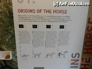 [P24] Kildare - Irish National Stud & Japanese Gardens - Horse Museum » foto by Diaura*
 - 
<span class="allrVoted glyphicon glyphicon-heart hidden" id="av410185"></span>
<a class="m-l-10 hidden" id="sv410185" onclick="voting_Foto_DelVot(,410185,13851)" role="button">șterge vot <span class="glyphicon glyphicon-remove"></span></a>
<a id="v9410185" class=" c-red"  onclick="voting_Foto_SetVot(410185)" role="button"><span class="glyphicon glyphicon-heart-empty"></span> <b>LIKE</b> = Votează poza</a> <img class="hidden"  id="f410185W9" src="/imagini/loader.gif" border="0" /><span class="AjErrMes hidden" id="e410185ErM"></span>