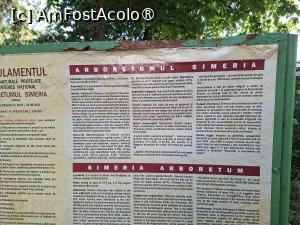 [P18] Parcul dendrologic (Arboretum) din Simeria » foto by Carmen Ion
 - 
<span class="allrVoted glyphicon glyphicon-heart hidden" id="av1511417"></span>
<a class="m-l-10 hidden" id="sv1511417" onclick="voting_Foto_DelVot(,1511417,13964)" role="button">șterge vot <span class="glyphicon glyphicon-remove"></span></a>
<a id="v91511417" class=" c-red"  onclick="voting_Foto_SetVot(1511417)" role="button"><span class="glyphicon glyphicon-heart-empty"></span> <b>LIKE</b> = Votează poza</a> <img class="hidden"  id="f1511417W9" src="/imagini/loader.gif" border="0" /><span class="AjErrMes hidden" id="e1511417ErM"></span>