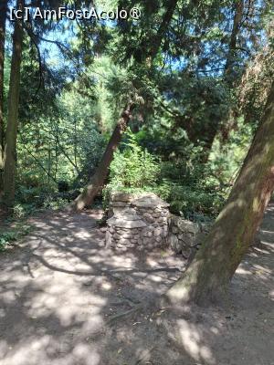 [P04] Parcul dendrologic (Arboretum) din Simeria » foto by Carmen Ion
 - 
<span class="allrVoted glyphicon glyphicon-heart hidden" id="av1511403"></span>
<a class="m-l-10 hidden" id="sv1511403" onclick="voting_Foto_DelVot(,1511403,13964)" role="button">șterge vot <span class="glyphicon glyphicon-remove"></span></a>
<a id="v91511403" class=" c-red"  onclick="voting_Foto_SetVot(1511403)" role="button"><span class="glyphicon glyphicon-heart-empty"></span> <b>LIKE</b> = Votează poza</a> <img class="hidden"  id="f1511403W9" src="/imagini/loader.gif" border="0" /><span class="AjErrMes hidden" id="e1511403ErM"></span>