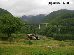 [P02] Viaduct pe DN10, si una din cauzele generatoare ale noroiului. Defrisarea si traficul auto intens din explotarile forestiere » foto by Testosu'
 - 
<span class="allrVoted glyphicon glyphicon-heart hidden" id="av559636"></span>
<a class="m-l-10 hidden" id="sv559636" onclick="voting_Foto_DelVot(,559636,14170)" role="button">șterge vot <span class="glyphicon glyphicon-remove"></span></a>
<a id="v9559636" class=" c-red"  onclick="voting_Foto_SetVot(559636)" role="button"><span class="glyphicon glyphicon-heart-empty"></span> <b>LIKE</b> = Votează poza</a> <img class="hidden"  id="f559636W9" src="/imagini/loader.gif" border="0" /><span class="AjErrMes hidden" id="e559636ErM"></span>