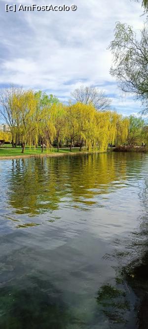 [P21] Primăvara pe lac. » foto by tata123 🔱
 - 
<span class="allrVoted glyphicon glyphicon-heart hidden" id="av1524369"></span>
<a class="m-l-10 hidden" id="sv1524369" onclick="voting_Foto_DelVot(,1524369,14175)" role="button">șterge vot <span class="glyphicon glyphicon-remove"></span></a>
<a id="v91524369" class=" c-red"  onclick="voting_Foto_SetVot(1524369)" role="button"><span class="glyphicon glyphicon-heart-empty"></span> <b>LIKE</b> = Votează poza</a> <img class="hidden"  id="f1524369W9" src="/imagini/loader.gif" border="0" /><span class="AjErrMes hidden" id="e1524369ErM"></span>