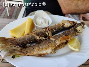 [P06] Terasa Coral - chefal(I) la grătar » foto by crismis
 - 
<span class="allrVoted glyphicon glyphicon-heart hidden" id="av1500148"></span>
<a class="m-l-10 hidden" id="sv1500148" onclick="voting_Foto_DelVot(,1500148,14190)" role="button">șterge vot <span class="glyphicon glyphicon-remove"></span></a>
<a id="v91500148" class=" c-red"  onclick="voting_Foto_SetVot(1500148)" role="button"><span class="glyphicon glyphicon-heart-empty"></span> <b>LIKE</b> = Votează poza</a> <img class="hidden"  id="f1500148W9" src="/imagini/loader.gif" border="0" /><span class="AjErrMes hidden" id="e1500148ErM"></span>