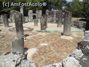 [P17] Butrint - Baptistery-ul bizantin cu mozaic » foto by Cristofor
 - 
<span class="allrVoted glyphicon glyphicon-heart hidden" id="av781377"></span>
<a class="m-l-10 hidden" id="sv781377" onclick="voting_Foto_DelVot(,781377,14195)" role="button">șterge vot <span class="glyphicon glyphicon-remove"></span></a>
<a id="v9781377" class=" c-red"  onclick="voting_Foto_SetVot(781377)" role="button"><span class="glyphicon glyphicon-heart-empty"></span> <b>LIKE</b> = Votează poza</a> <img class="hidden"  id="f781377W9" src="/imagini/loader.gif" border="0" /><span class="AjErrMes hidden" id="e781377ErM"></span>