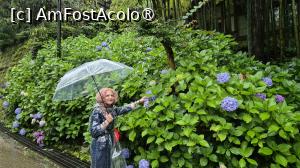 [P09] Se spune ca templul a fost numit Engaku-ji, ,,Templul Iluminarii Perfecte’’, deoarece o copie a Sutrei Iluminarii Perfecte a fost dezgropata in timpul constructiei templului. » foto by geani anto
 - 
<span class="allrVoted glyphicon glyphicon-heart hidden" id="av1443151"></span>
<a class="m-l-10 hidden" id="sv1443151" onclick="voting_Foto_DelVot(,1443151,14224)" role="button">șterge vot <span class="glyphicon glyphicon-remove"></span></a>
<a id="v91443151" class=" c-red"  onclick="voting_Foto_SetVot(1443151)" role="button"><span class="glyphicon glyphicon-heart-empty"></span> <b>LIKE</b> = Votează poza</a> <img class="hidden"  id="f1443151W9" src="/imagini/loader.gif" border="0" /><span class="AjErrMes hidden" id="e1443151ErM"></span>