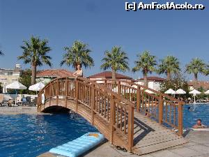 [P01]  -- <small>// FĂRĂ DESCRIERE</small> » foto by gaby_plop
 - 
<span class="allrVoted glyphicon glyphicon-heart hidden" id="av664786"></span>
<a class="m-l-10 hidden" id="sv664786" onclick="voting_Foto_DelVot(,664786,14245)" role="button">șterge vot <span class="glyphicon glyphicon-remove"></span></a>
<a id="v9664786" class=" c-red"  onclick="voting_Foto_SetVot(664786)" role="button"><span class="glyphicon glyphicon-heart-empty"></span> <b>LIKE</b> = Votează poza</a> <img class="hidden"  id="f664786W9" src="/imagini/loader.gif" border="0" /><span class="AjErrMes hidden" id="e664786ErM"></span>