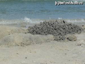 [P40] nisipul fin de la skala potamia si marea » foto by Dan&Ema
 - 
<span class="allrVoted glyphicon glyphicon-heart hidden" id="av670884"></span>
<a class="m-l-10 hidden" id="sv670884" onclick="voting_Foto_DelVot(,670884,14421)" role="button">șterge vot <span class="glyphicon glyphicon-remove"></span></a>
<a id="v9670884" class=" c-red"  onclick="voting_Foto_SetVot(670884)" role="button"><span class="glyphicon glyphicon-heart-empty"></span> <b>LIKE</b> = Votează poza</a> <img class="hidden"  id="f670884W9" src="/imagini/loader.gif" border="0" /><span class="AjErrMes hidden" id="e670884ErM"></span>