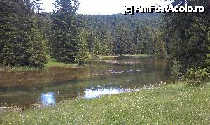 [P11] Un mic râu şi pădure de brazi din Parcul Durmitor în apropiere de Lacul Negru. Zabljack, Muntenegru.  » foto by traian.leuca †
 - 
<span class="allrVoted glyphicon glyphicon-heart hidden" id="av440773"></span>
<a class="m-l-10 hidden" id="sv440773" onclick="voting_Foto_DelVot(,440773,14540)" role="button">șterge vot <span class="glyphicon glyphicon-remove"></span></a>
<a id="v9440773" class=" c-red"  onclick="voting_Foto_SetVot(440773)" role="button"><span class="glyphicon glyphicon-heart-empty"></span> <b>LIKE</b> = Votează poza</a> <img class="hidden"  id="f440773W9" src="/imagini/loader.gif" border="0" /><span class="AjErrMes hidden" id="e440773ErM"></span>