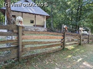 [P14] La plimbare prin muzeu » foto by Carmen Ion
 - 
<span class="allrVoted glyphicon glyphicon-heart hidden" id="av1512849"></span>
<a class="m-l-10 hidden" id="sv1512849" onclick="voting_Foto_DelVot(,1512849,14876)" role="button">șterge vot <span class="glyphicon glyphicon-remove"></span></a>
<a id="v91512849" class=" c-red"  onclick="voting_Foto_SetVot(1512849)" role="button"><span class="glyphicon glyphicon-heart-empty"></span> <b>LIKE</b> = Votează poza</a> <img class="hidden"  id="f1512849W9" src="/imagini/loader.gif" border="0" /><span class="AjErrMes hidden" id="e1512849ErM"></span>