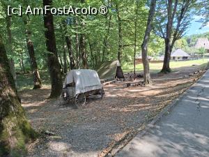 [P16] La plimbare prin muzeu » foto by Carmen Ion
 - 
<span class="allrVoted glyphicon glyphicon-heart hidden" id="av1512851"></span>
<a class="m-l-10 hidden" id="sv1512851" onclick="voting_Foto_DelVot(,1512851,14876)" role="button">șterge vot <span class="glyphicon glyphicon-remove"></span></a>
<a id="v91512851" class=" c-red"  onclick="voting_Foto_SetVot(1512851)" role="button"><span class="glyphicon glyphicon-heart-empty"></span> <b>LIKE</b> = Votează poza</a> <img class="hidden"  id="f1512851W9" src="/imagini/loader.gif" border="0" /><span class="AjErrMes hidden" id="e1512851ErM"></span>