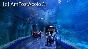 [P16] Akvaryum Florya Istanbul » foto by pepsi70ro
 - 
<span class="allrVoted glyphicon glyphicon-heart hidden" id="av1517763"></span>
<a class="m-l-10 hidden" id="sv1517763" onclick="voting_Foto_DelVot(,1517763,14995)" role="button">șterge vot <span class="glyphicon glyphicon-remove"></span></a>
<a id="v91517763" class=" c-red"  onclick="voting_Foto_SetVot(1517763)" role="button"><span class="glyphicon glyphicon-heart-empty"></span> <b>LIKE</b> = Votează poza</a> <img class="hidden"  id="f1517763W9" src="/imagini/loader.gif" border="0" /><span class="AjErrMes hidden" id="e1517763ErM"></span>