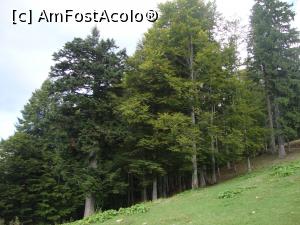 [P34] După ce am servit câte o ciocolată caldă pe terasa exterioară a cabanei a venit momentul să plecăm înapoi spre stația telescaunului.  » foto by Floryn81
 - 
<span class="allrVoted glyphicon glyphicon-heart hidden" id="av787741"></span>
<a class="m-l-10 hidden" id="sv787741" onclick="voting_Foto_DelVot(,787741,15071)" role="button">șterge vot <span class="glyphicon glyphicon-remove"></span></a>
<a id="v9787741" class=" c-red"  onclick="voting_Foto_SetVot(787741)" role="button"><span class="glyphicon glyphicon-heart-empty"></span> <b>LIKE</b> = Votează poza</a> <img class="hidden"  id="f787741W9" src="/imagini/loader.gif" border="0" /><span class="AjErrMes hidden" id="e787741ErM"></span>