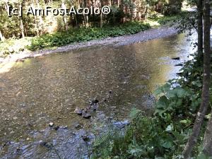 [P01] Valea Azugii, apa cristalina » foto by Dan&Ema
 - 
<span class="allrVoted glyphicon glyphicon-heart hidden" id="av1183447"></span>
<a class="m-l-10 hidden" id="sv1183447" onclick="voting_Foto_DelVot(,1183447,15071)" role="button">șterge vot <span class="glyphicon glyphicon-remove"></span></a>
<a id="v91183447" class=" c-red"  onclick="voting_Foto_SetVot(1183447)" role="button"><span class="glyphicon glyphicon-heart-empty"></span> <b>LIKE</b> = Votează poza</a> <img class="hidden"  id="f1183447W9" src="/imagini/loader.gif" border="0" /><span class="AjErrMes hidden" id="e1183447ErM"></span>