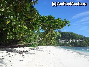 [P01] Nisip Alb apa... extrem de clara si cu o nuanta azurie si asta pe o plaja aproape goala la cateva minute de aeroport asta-i Seychelles relax pe o palaja (magnifica) pustie doar tu si valurile... 
Anse Royale Mahe Seychelles » foto by Ciprian_74
 - 
<span class="allrVoted glyphicon glyphicon-heart hidden" id="av456038"></span>
<a class="m-l-10 hidden" id="sv456038" onclick="voting_Foto_DelVot(,456038,15078)" role="button">șterge vot <span class="glyphicon glyphicon-remove"></span></a>
<a id="v9456038" class=" c-red"  onclick="voting_Foto_SetVot(456038)" role="button"><span class="glyphicon glyphicon-heart-empty"></span> <b>LIKE</b> = Votează poza</a> <img class="hidden"  id="f456038W9" src="/imagini/loader.gif" border="0" /><span class="AjErrMes hidden" id="e456038ErM"></span>
