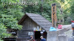 [P01]  -- <small>// FĂRĂ DESCRIERE</small> » foto by pepsi70ro
 - 
<span class="allrVoted glyphicon glyphicon-heart hidden" id="av1491283"></span>
<a class="m-l-10 hidden" id="sv1491283" onclick="voting_Foto_DelVot(,1491283,15101)" role="button">șterge vot <span class="glyphicon glyphicon-remove"></span></a>
<a id="v91491283" class=" c-red"  onclick="voting_Foto_SetVot(1491283)" role="button"><span class="glyphicon glyphicon-heart-empty"></span> <b>LIKE</b> = Votează poza</a> <img class="hidden"  id="f1491283W9" src="/imagini/loader.gif" border="0" /><span class="AjErrMes hidden" id="e1491283ErM"></span>