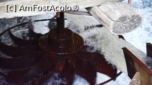 [P03]  -- <small>// FĂRĂ DESCRIERE</small> » foto by pepsi70ro
 - 
<span class="allrVoted glyphicon glyphicon-heart hidden" id="av1491285"></span>
<a class="m-l-10 hidden" id="sv1491285" onclick="voting_Foto_DelVot(,1491285,15101)" role="button">șterge vot <span class="glyphicon glyphicon-remove"></span></a>
<a id="v91491285" class=" c-red"  onclick="voting_Foto_SetVot(1491285)" role="button"><span class="glyphicon glyphicon-heart-empty"></span> <b>LIKE</b> = Votează poza</a> <img class="hidden"  id="f1491285W9" src="/imagini/loader.gif" border="0" /><span class="AjErrMes hidden" id="e1491285ErM"></span>