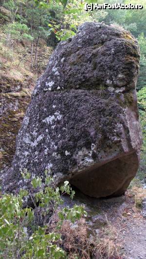 [P130] Devin - traseul ecoturistic Struiliţa - Kaleto - Lîcata / poteca spre Lîcata; momolitul, priviti din cealaltă parte. Nu seamănă cu Mo'ai (https://en.wikipedia.or/wiki/Moai)? » foto by Dragoș_MD
 - 
<span class="allrVoted glyphicon glyphicon-heart hidden" id="av464894"></span>
<a class="m-l-10 hidden" id="sv464894" onclick="voting_Foto_DelVot(,464894,15256)" role="button">șterge vot <span class="glyphicon glyphicon-remove"></span></a>
<a id="v9464894" class=" c-red"  onclick="voting_Foto_SetVot(464894)" role="button"><span class="glyphicon glyphicon-heart-empty"></span> <b>LIKE</b> = Votează poza</a> <img class="hidden"  id="f464894W9" src="/imagini/loader.gif" border="0" /><span class="AjErrMes hidden" id="e464894ErM"></span>