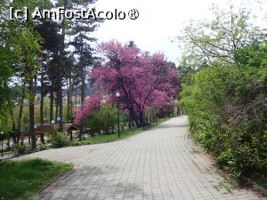 [P38] Velingrad, prin oraș.Parcul Borov » foto by Dragoș_MD
 - 
<span class="allrVoted glyphicon glyphicon-heart hidden" id="av1466822"></span>
<a class="m-l-10 hidden" id="sv1466822" onclick="voting_Foto_DelVot(,1466822,15301)" role="button">șterge vot <span class="glyphicon glyphicon-remove"></span></a>
<a id="v91466822" class=" c-red"  onclick="voting_Foto_SetVot(1466822)" role="button"><span class="glyphicon glyphicon-heart-empty"></span> <b>LIKE</b> = Votează poza</a> <img class="hidden"  id="f1466822W9" src="/imagini/loader.gif" border="0" /><span class="AjErrMes hidden" id="e1466822ErM"></span>