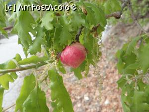[P42] Velingrad, prin oraș.natura » foto by Dragoș_MD
 - 
<span class="allrVoted glyphicon glyphicon-heart hidden" id="av1466826"></span>
<a class="m-l-10 hidden" id="sv1466826" onclick="voting_Foto_DelVot(,1466826,15301)" role="button">șterge vot <span class="glyphicon glyphicon-remove"></span></a>
<a id="v91466826" class=" c-red"  onclick="voting_Foto_SetVot(1466826)" role="button"><span class="glyphicon glyphicon-heart-empty"></span> <b>LIKE</b> = Votează poza</a> <img class="hidden"  id="f1466826W9" src="/imagini/loader.gif" border="0" /><span class="AjErrMes hidden" id="e1466826ErM"></span>