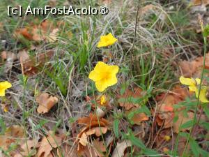 [P43] Velingrad, prin oraș.natura » foto by Dragoș_MD
 - 
<span class="allrVoted glyphicon glyphicon-heart hidden" id="av1466827"></span>
<a class="m-l-10 hidden" id="sv1466827" onclick="voting_Foto_DelVot(,1466827,15301)" role="button">șterge vot <span class="glyphicon glyphicon-remove"></span></a>
<a id="v91466827" class=" c-red"  onclick="voting_Foto_SetVot(1466827)" role="button"><span class="glyphicon glyphicon-heart-empty"></span> <b>LIKE</b> = Votează poza</a> <img class="hidden"  id="f1466827W9" src="/imagini/loader.gif" border="0" /><span class="AjErrMes hidden" id="e1466827ErM"></span>