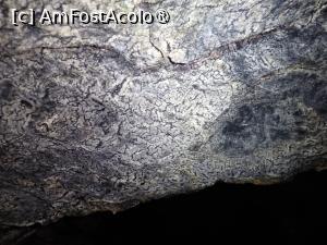 [P52] Peștera Lepenița, giuvaeruri naturale - asta e denumită „piele de leopard” » foto by Dragoș_MD
 - 
<span class="allrVoted glyphicon glyphicon-heart hidden" id="av1467010"></span>
<a class="m-l-10 hidden" id="sv1467010" onclick="voting_Foto_DelVot(,1467010,15301)" role="button">șterge vot <span class="glyphicon glyphicon-remove"></span></a>
<a id="v91467010" class=" c-red"  onclick="voting_Foto_SetVot(1467010)" role="button"><span class="glyphicon glyphicon-heart-empty"></span> <b>LIKE</b> = Votează poza</a> <img class="hidden"  id="f1467010W9" src="/imagini/loader.gif" border="0" /><span class="AjErrMes hidden" id="e1467010ErM"></span>
