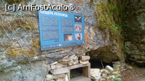 [P62] Peștera Lepenița, intrarea » foto by Dragoș_MD
 - 
<span class="allrVoted glyphicon glyphicon-heart hidden" id="av1467020"></span>
<a class="m-l-10 hidden" id="sv1467020" onclick="voting_Foto_DelVot(,1467020,15301)" role="button">șterge vot <span class="glyphicon glyphicon-remove"></span></a>
<a id="v91467020" class=" c-red"  onclick="voting_Foto_SetVot(1467020)" role="button"><span class="glyphicon glyphicon-heart-empty"></span> <b>LIKE</b> = Votează poza</a> <img class="hidden"  id="f1467020W9" src="/imagini/loader.gif" border="0" /><span class="AjErrMes hidden" id="e1467020ErM"></span>