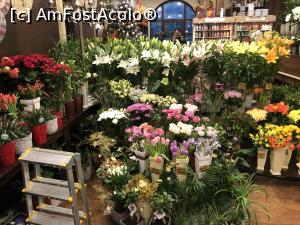 P08 [NOV-2018] Poftiti in minunatul si caldurosul si coloratul flower shop! 