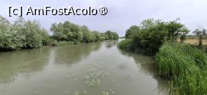 [P40]  -- <small>// FĂRĂ DESCRIERE</small> » foto by iulianic
 - 
<span class="allrVoted glyphicon glyphicon-heart hidden" id="av1541125"></span>
<a class="m-l-10 hidden" id="sv1541125" onclick="voting_Foto_DelVot(,1541125,15752)" role="button">șterge vot <span class="glyphicon glyphicon-remove"></span></a>
<a id="v91541125" class=" c-red"  onclick="voting_Foto_SetVot(1541125)" role="button"><span class="glyphicon glyphicon-heart-empty"></span> <b>LIKE</b> = Votează poza</a> <img class="hidden"  id="f1541125W9" src="/imagini/loader.gif" border="0" /><span class="AjErrMes hidden" id="e1541125ErM"></span>