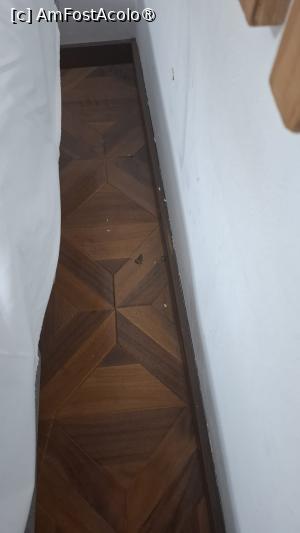 [P16] Alte muște » foto by gasca.cezar
 - 
<span class="allrVoted glyphicon glyphicon-heart hidden" id="av1491667"></span>
<a class="m-l-10 hidden" id="sv1491667" onclick="voting_Foto_DelVot(,1491667,16103)" role="button">șterge vot <span class="glyphicon glyphicon-remove"></span></a>
<a id="v91491667" class=" c-red"  onclick="voting_Foto_SetVot(1491667)" role="button"><span class="glyphicon glyphicon-heart-empty"></span> <b>LIKE</b> = Votează poza</a> <img class="hidden"  id="f1491667W9" src="/imagini/loader.gif" border="0" /><span class="AjErrMes hidden" id="e1491667ErM"></span>