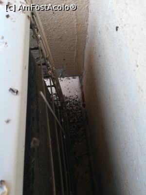 [P04] 'Treaba' randunelelor » foto by AlinaCarp
 - 
<span class="allrVoted glyphicon glyphicon-heart hidden" id="av1008191"></span>
<a class="m-l-10 hidden" id="sv1008191" onclick="voting_Foto_DelVot(,1008191,16236)" role="button">șterge vot <span class="glyphicon glyphicon-remove"></span></a>
<a id="v91008191" class=" c-red"  onclick="voting_Foto_SetVot(1008191)" role="button"><span class="glyphicon glyphicon-heart-empty"></span> <b>LIKE</b> = Votează poza</a> <img class="hidden"  id="f1008191W9" src="/imagini/loader.gif" border="0" /><span class="AjErrMes hidden" id="e1008191ErM"></span>